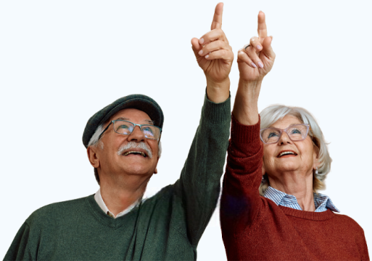 Income Senoirs